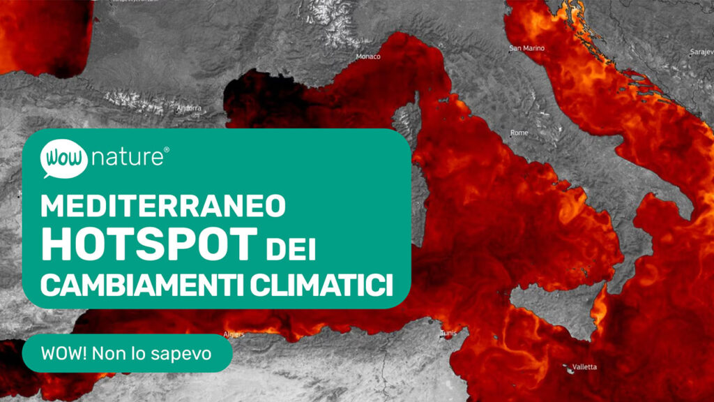 Mediterraneo: hotspot del cambiamento climatico