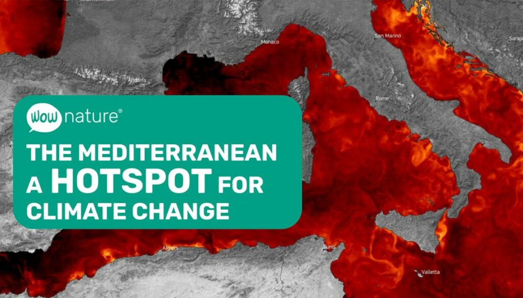 The Mediterranean: a hotspot for climate change