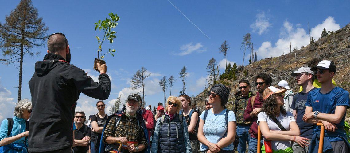 Calendar of events for planting trees and experiencing nature with WOWnature