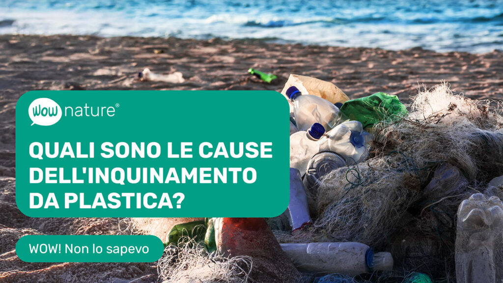 Quali sono le cause dell’inquinamento da plastica?
