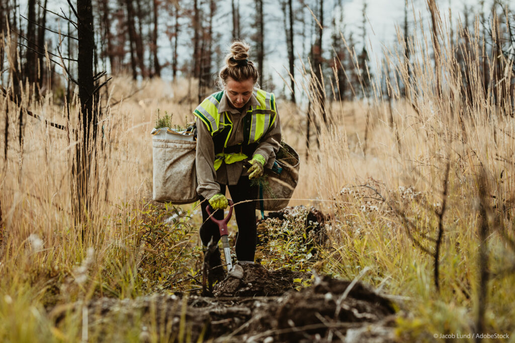 Woman plants trees