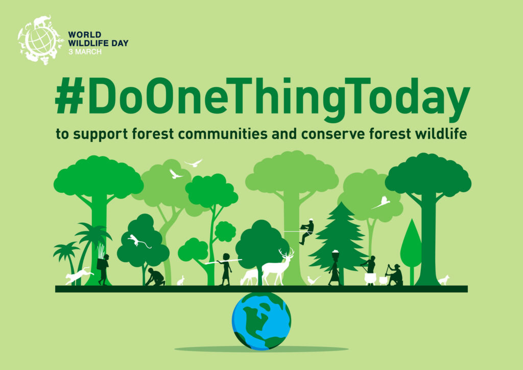 World Wildlife Day 2022: what is being celebrated?