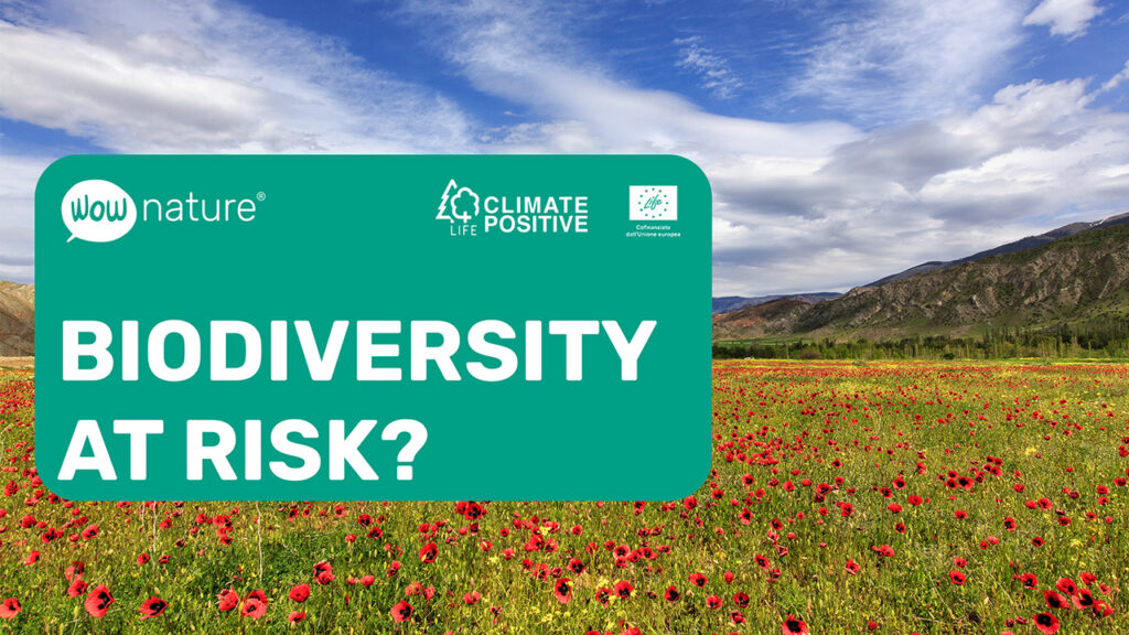 Biodiversity at risk and sixth mass extinction?