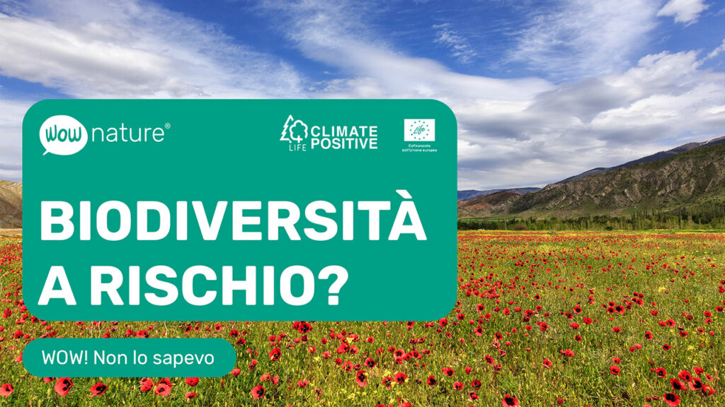 Biodiversità a rischio e sesta estinzione di massa?