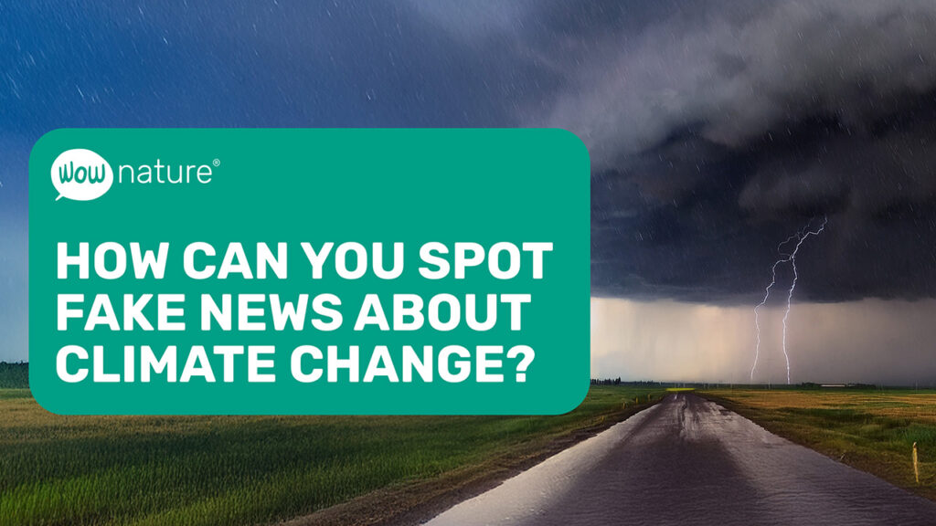 How can you spot fake news about climate change?
