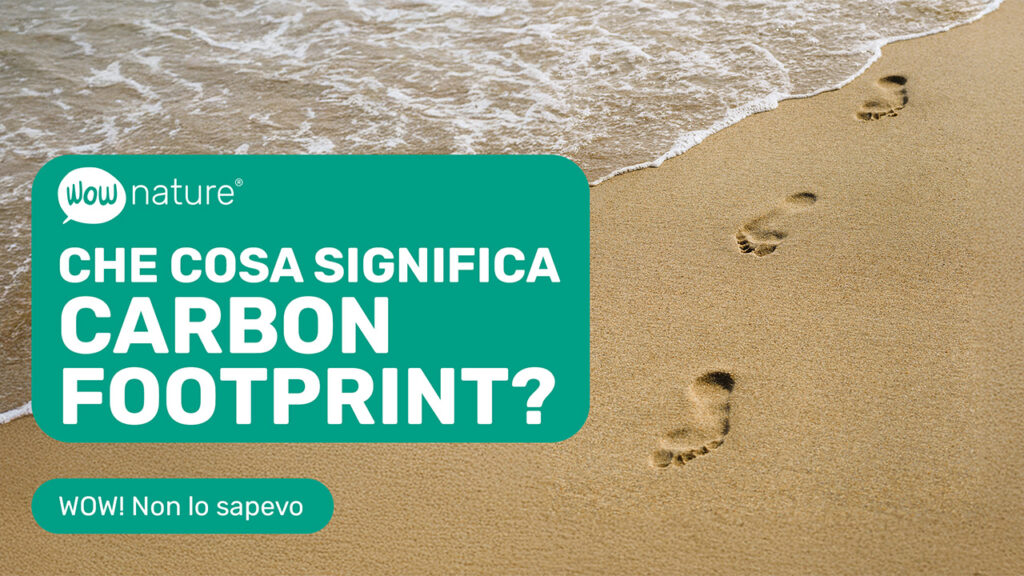 Cosa significa Carbon Footprint?