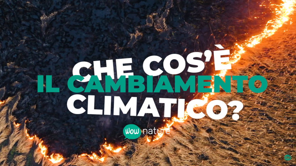 Che cos’è il cambiamento climatico