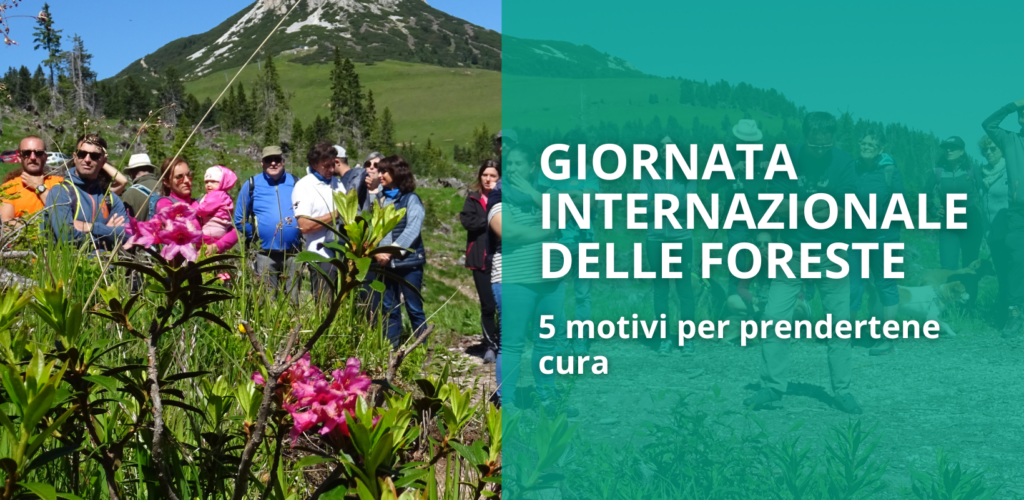 Giornata internazionale delle foreste: 5 ragioni per proteggerle