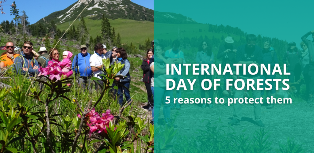International day of forests: 5 reasons to protect them
