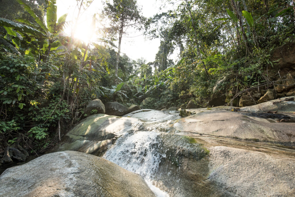 Nature positive