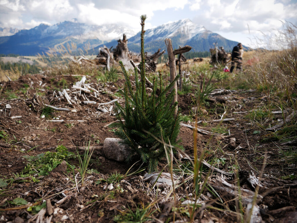 Giornata Mondiale dell’Ambiente 2021: ripristiniamo gli ecosistemi