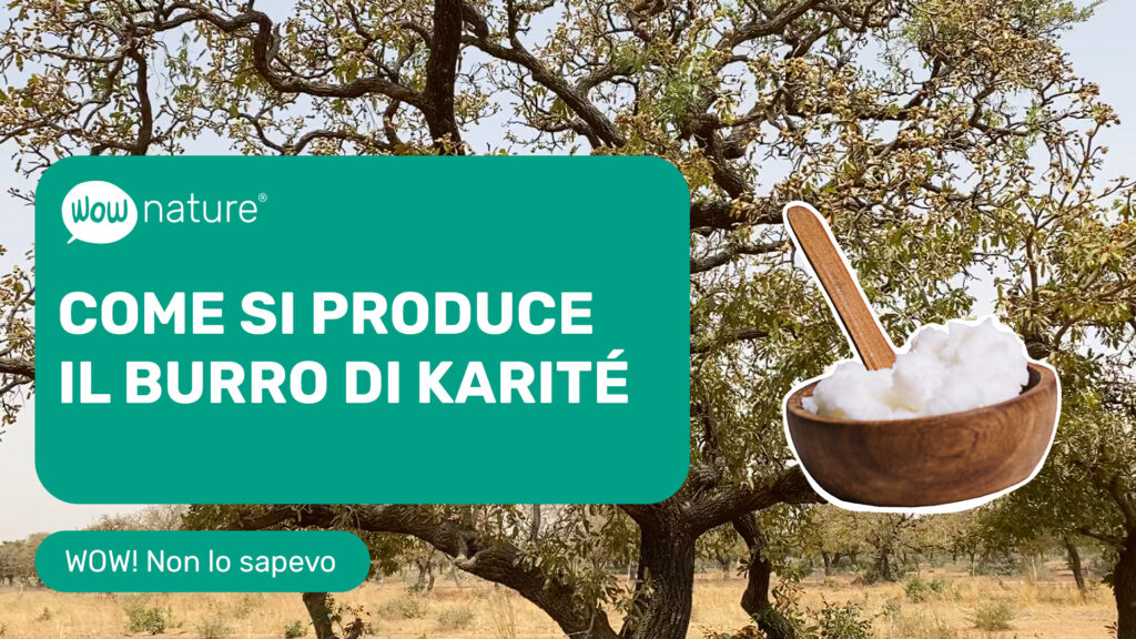 Come si usa il burro di karité? E come si produce? Scopri il progetto in Burkina Faso