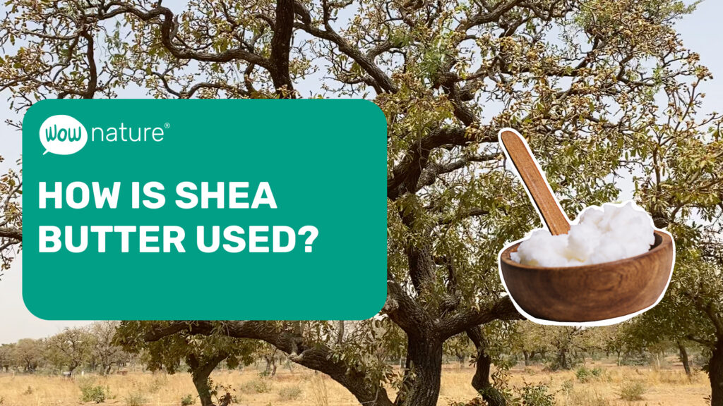 How is shea butter used? And how is it produced? Discover the project in Burkina Faso