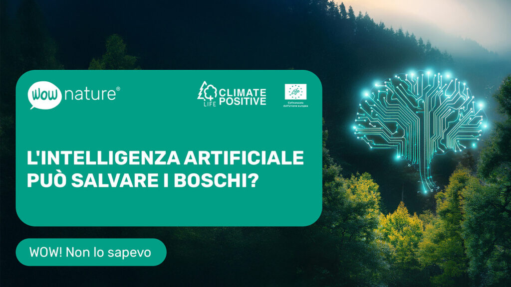 L’intelligenza artificiale può salvare un bosco?