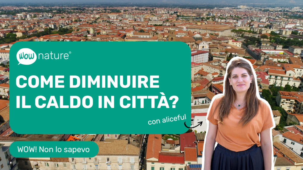 Isole di calore urbane: cosa sono e come ridurne gli effetti