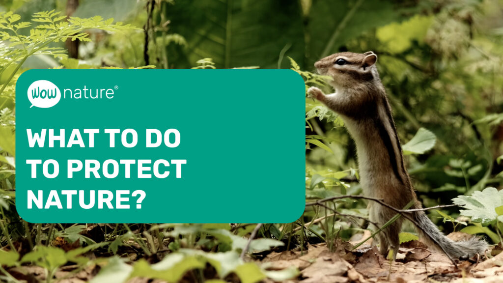 What to do to protect nature?
