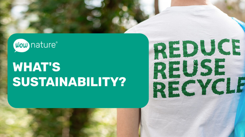 What is sustainability?