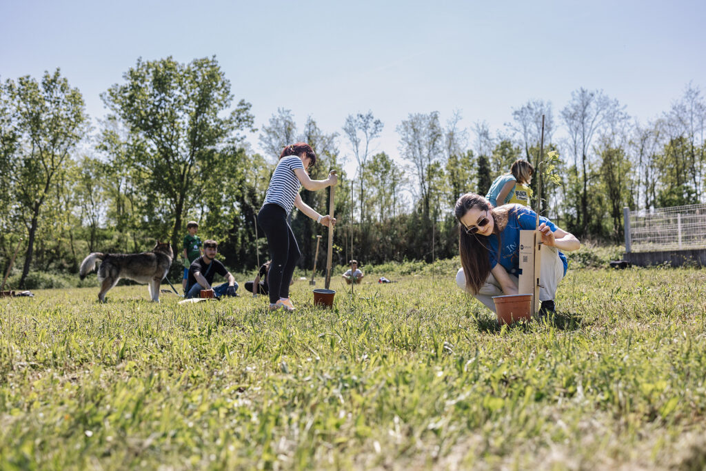 Why should we plant trees to counter climate change?