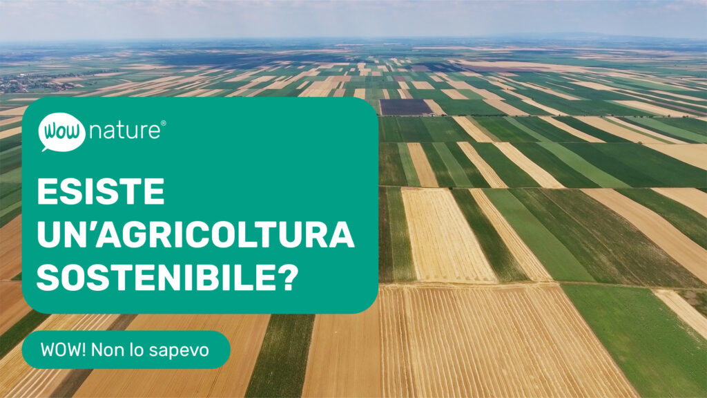 Esiste un’agricoltura sostenibile? Scopriamo l’agroforestazione e la mezzaluna della biodiversità.