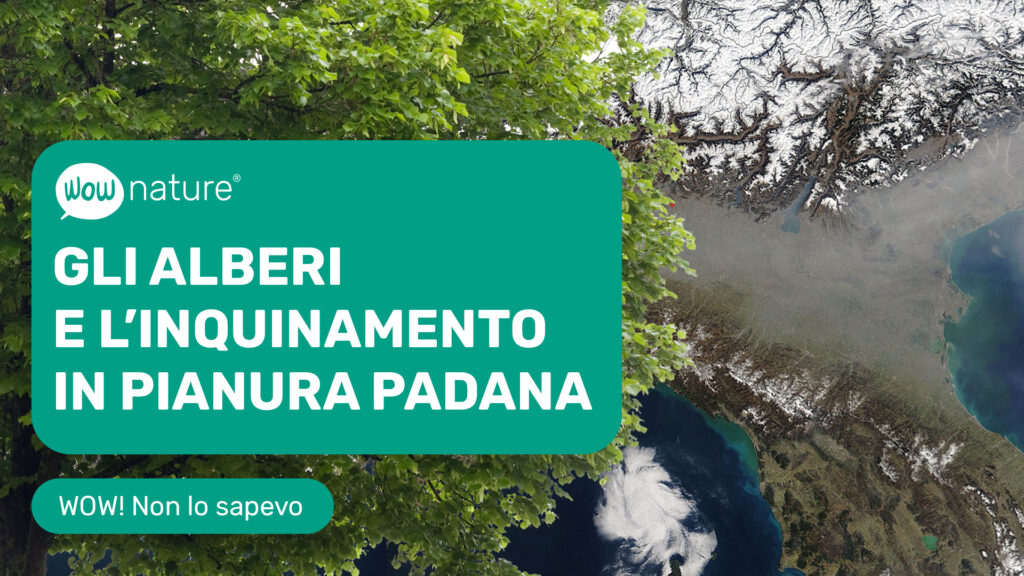 Quanto è inquinata l’aria che respiriamo in Pianura Padana?