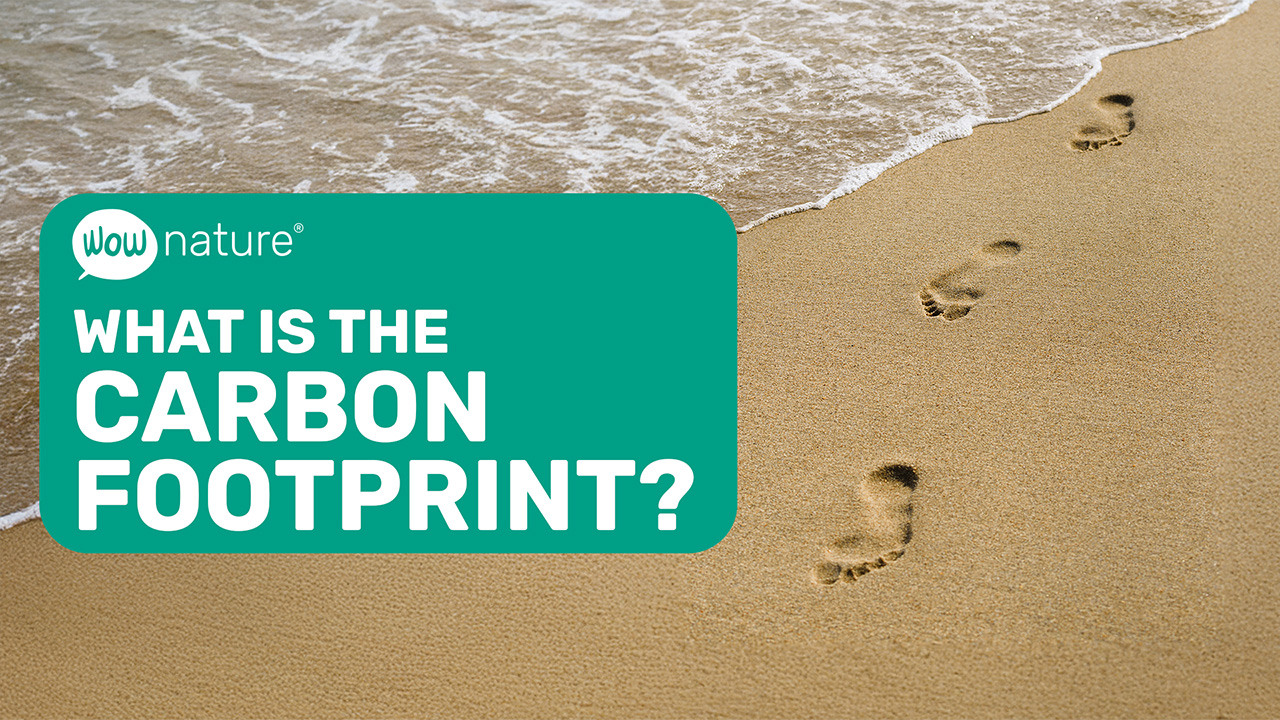What is the Carbon Footprint?