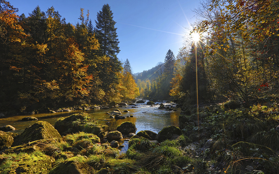 Le foreste? Ci forniscono l’acqua di cui abbiamo bisogno