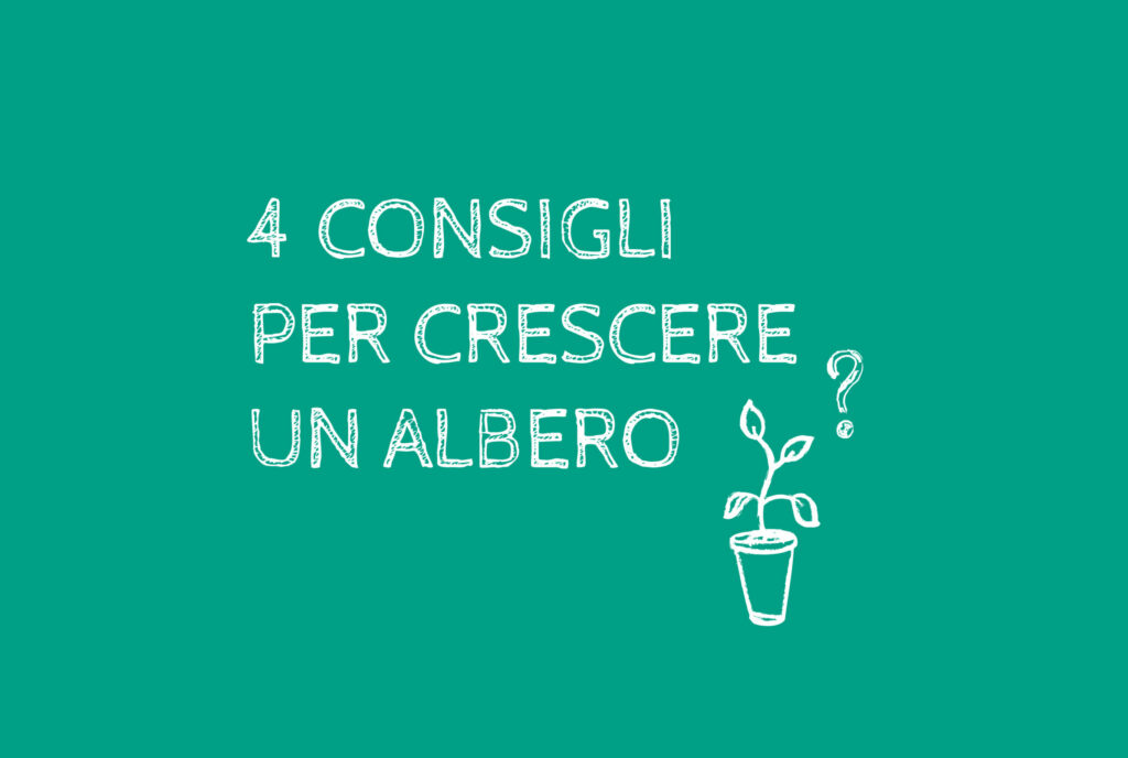 Come piantare un albero