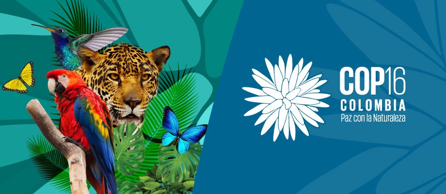 Perchè la COP16 è importante per le aziende?