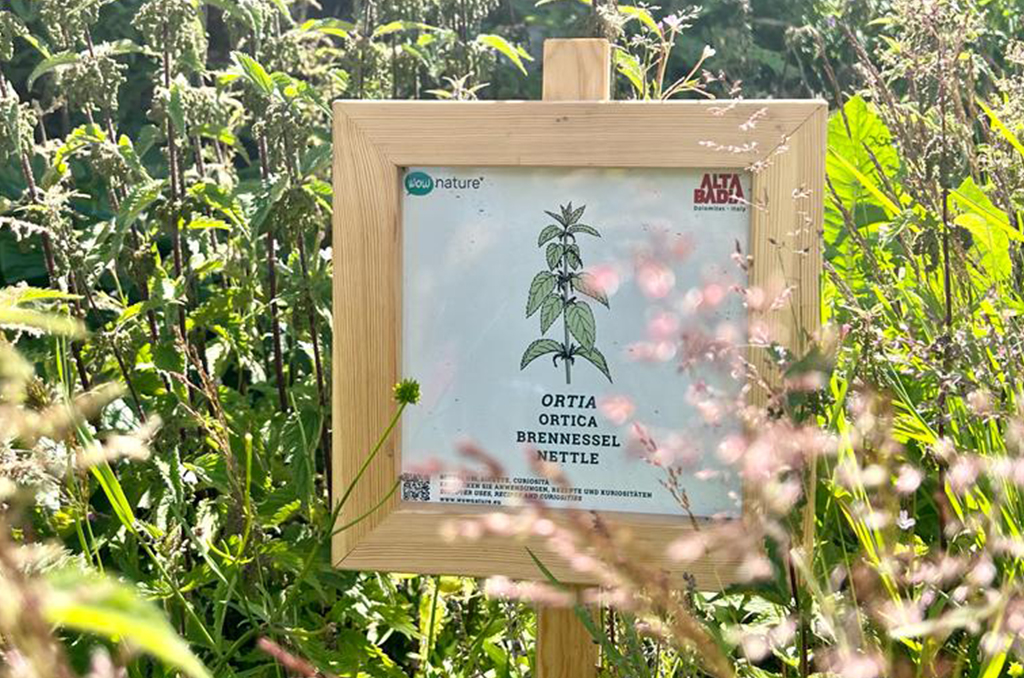 Food forest: la foresta commestibile che fa bene alla biodiversità e contrasta la crisi climatica