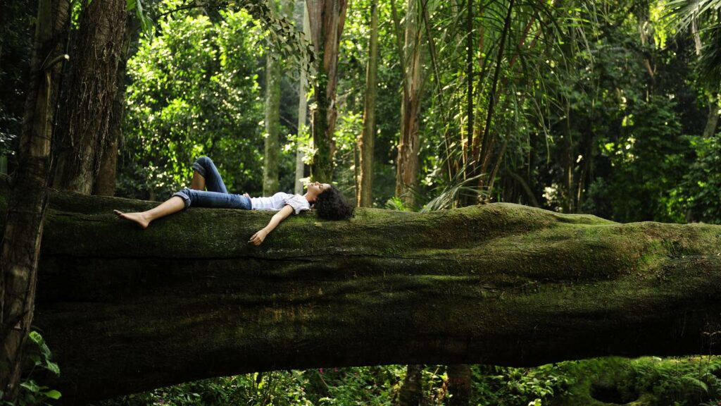 Forest Bathing: immergersi in un bagno di natura