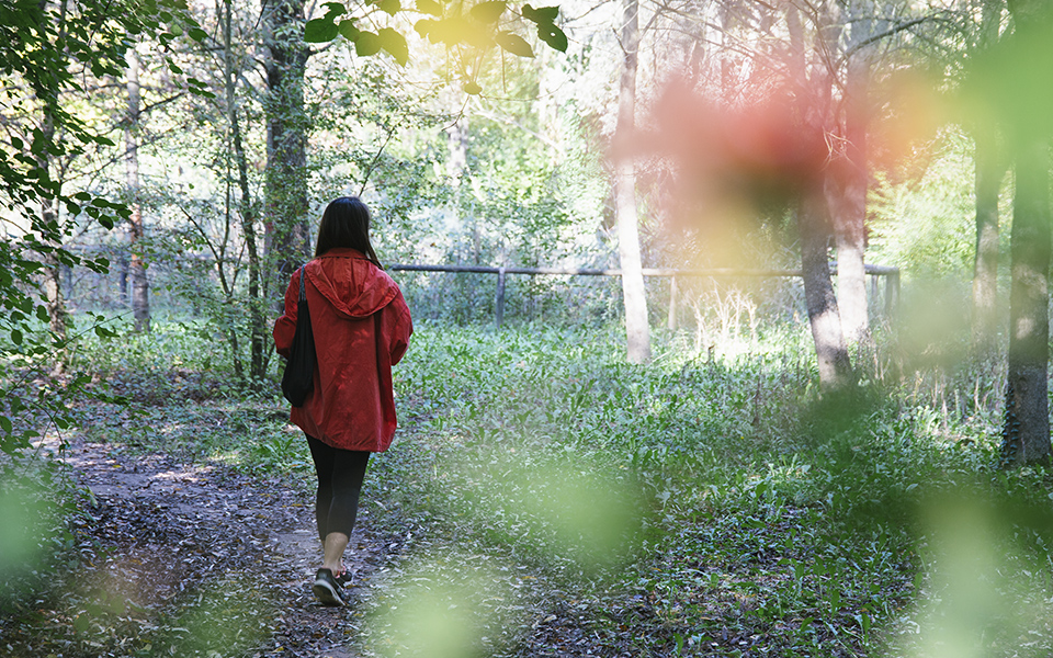 Forest Bathing, dove praticarlo in Nord Italia