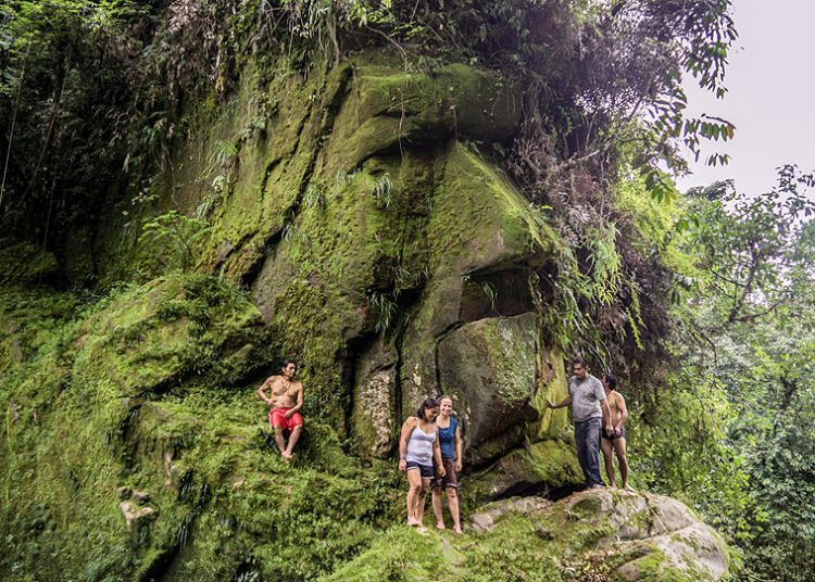 Che cos’è la Lista verde dell’Unione internazionale per la conservazione della natura