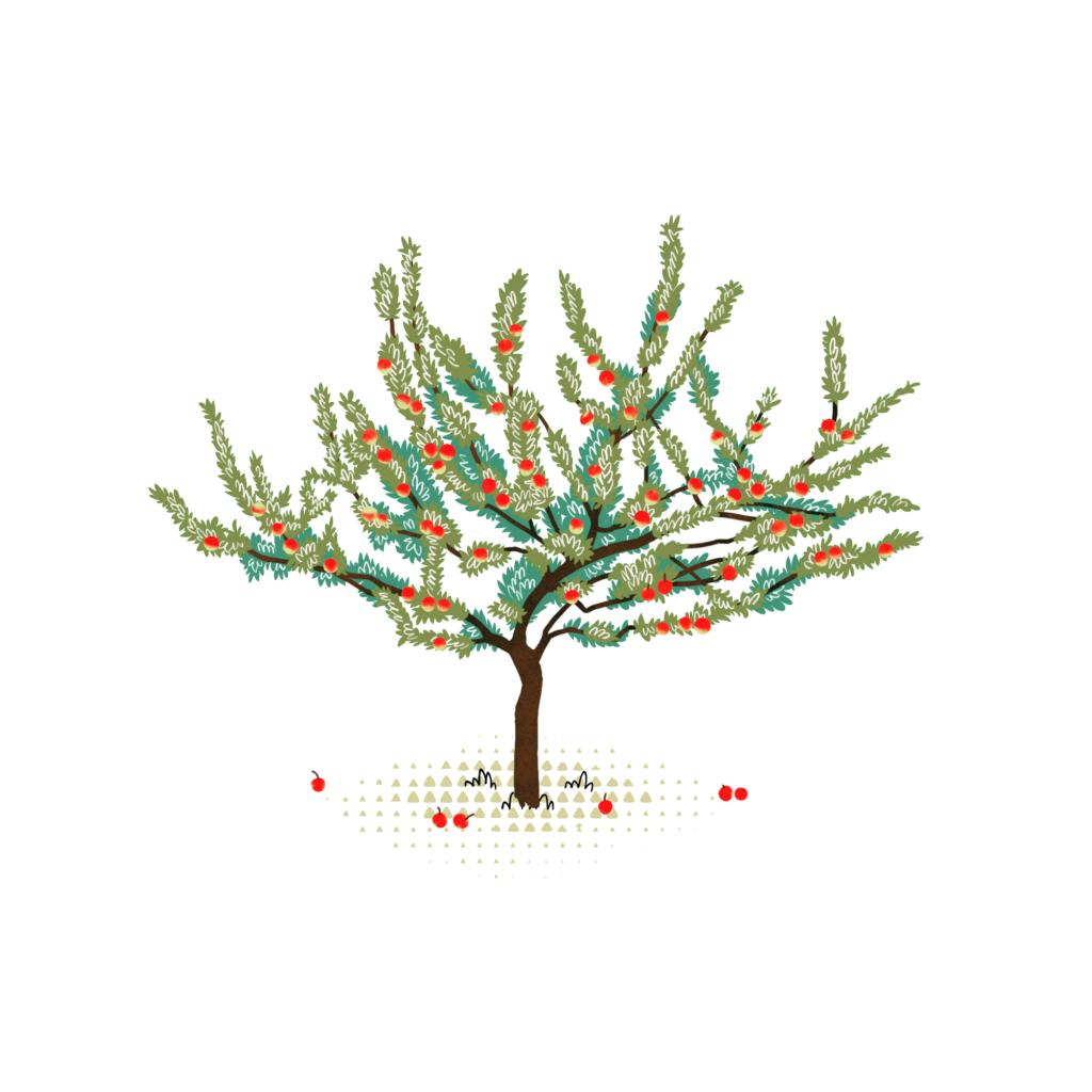 WOWnature illustration of a wild apple tree