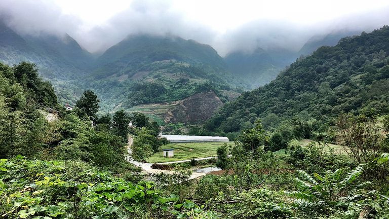 Proteggere le foreste esistenti: un quarto del territorio della Cina diventerà area protetta