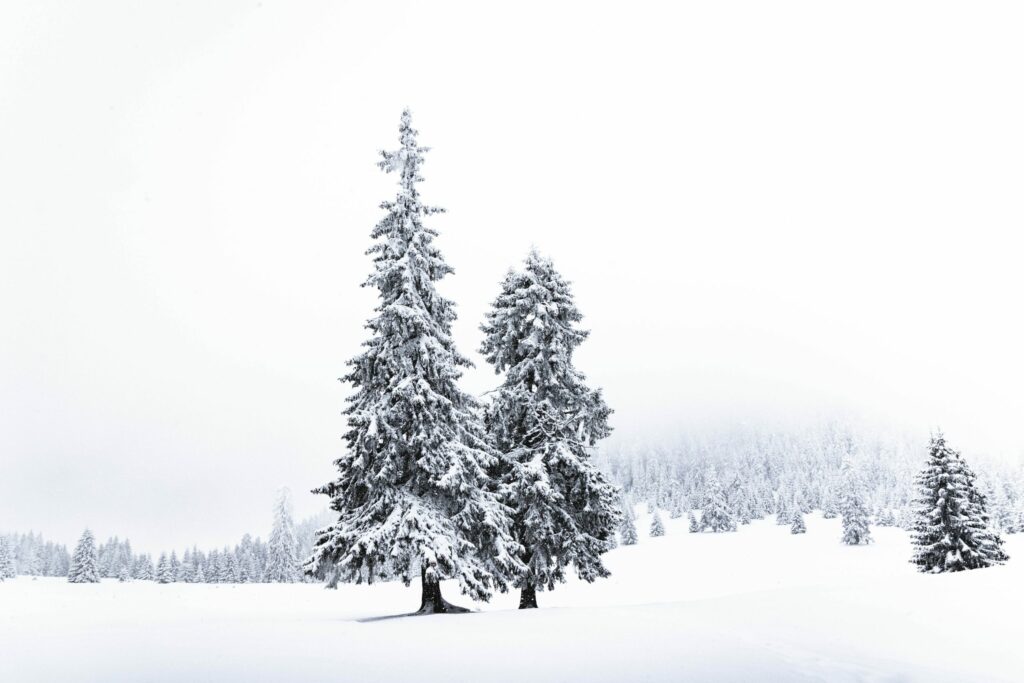 World Snow Day 2022. What is being celebrated?