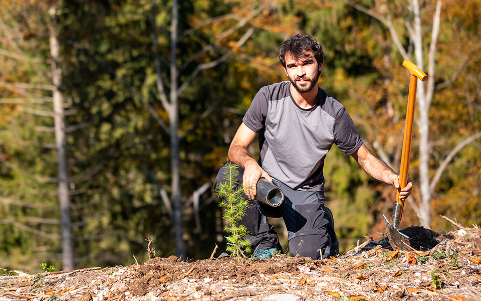 How we plant in the mountains