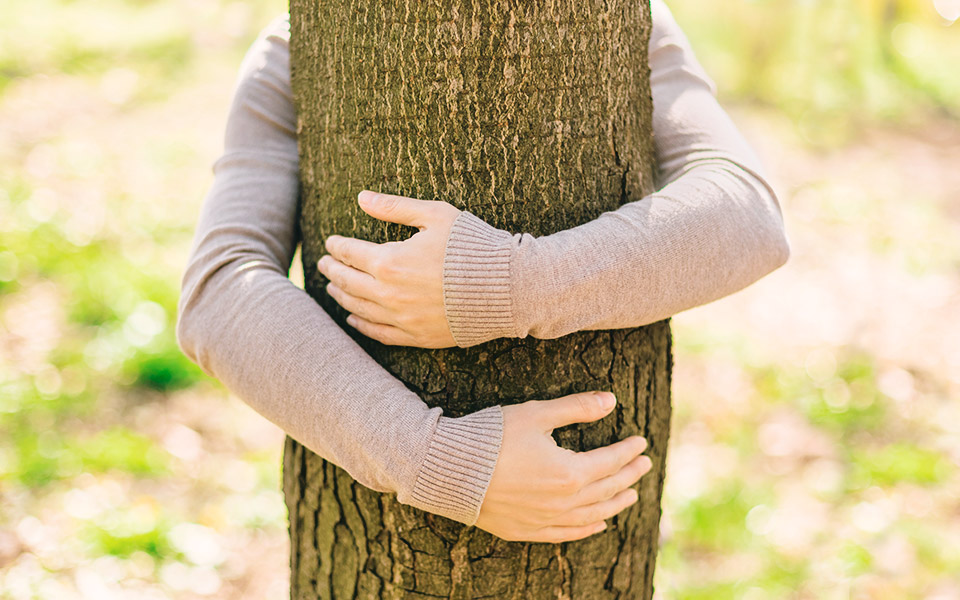 Diminuire lo stress e migliorare il benessere grazie alla natura