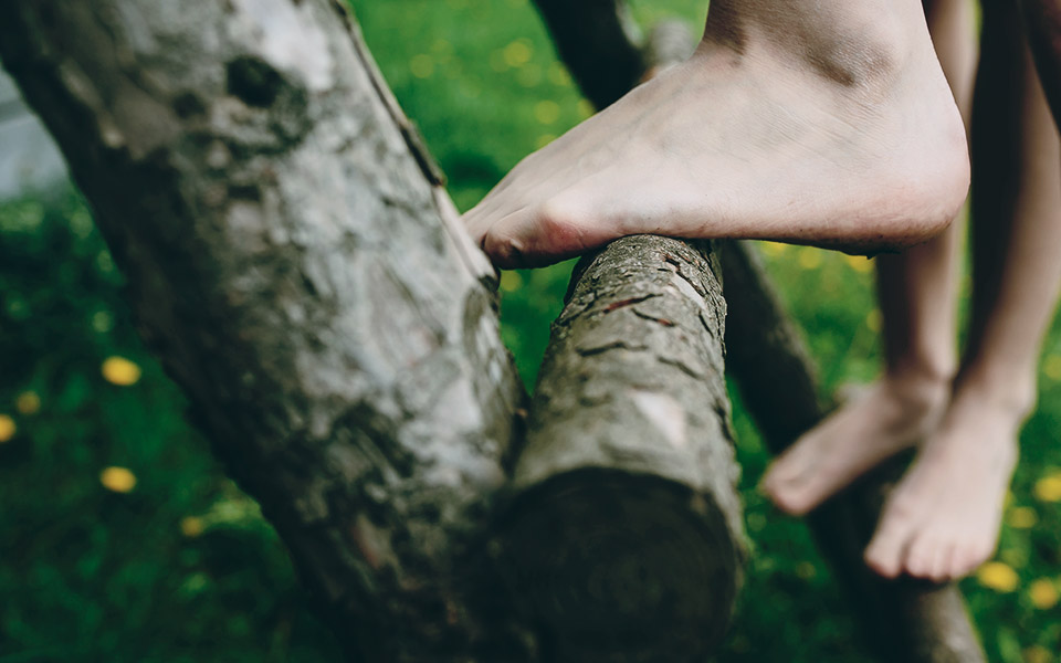 Diminuire lo stress e migliorare il benessere grazie alla natura