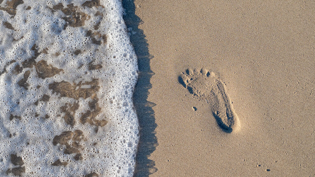 Carbon foot print: cos’è, come si calcola e come ridurlo