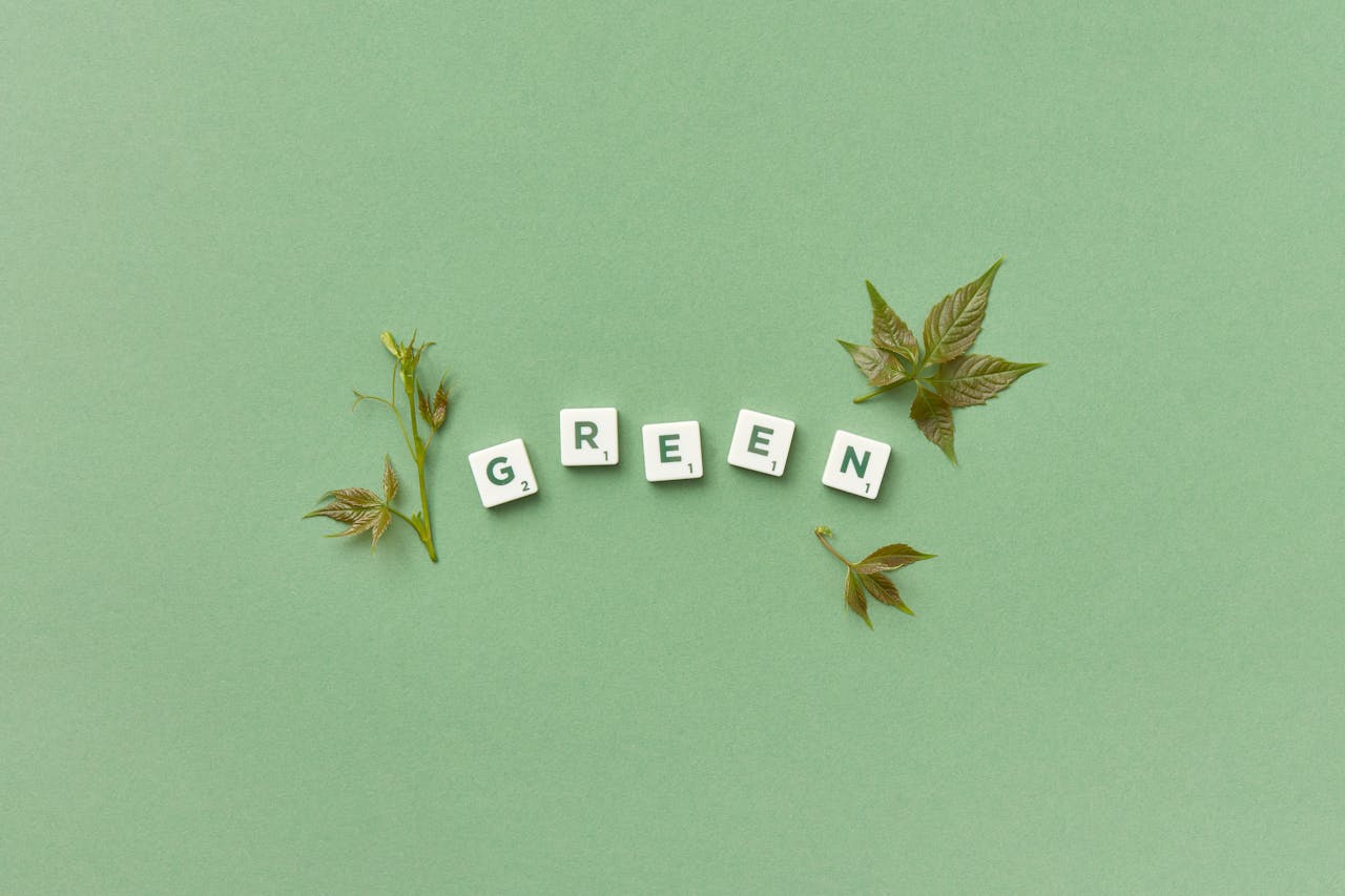 Green marketing: cos’è, esempi e perché farlo