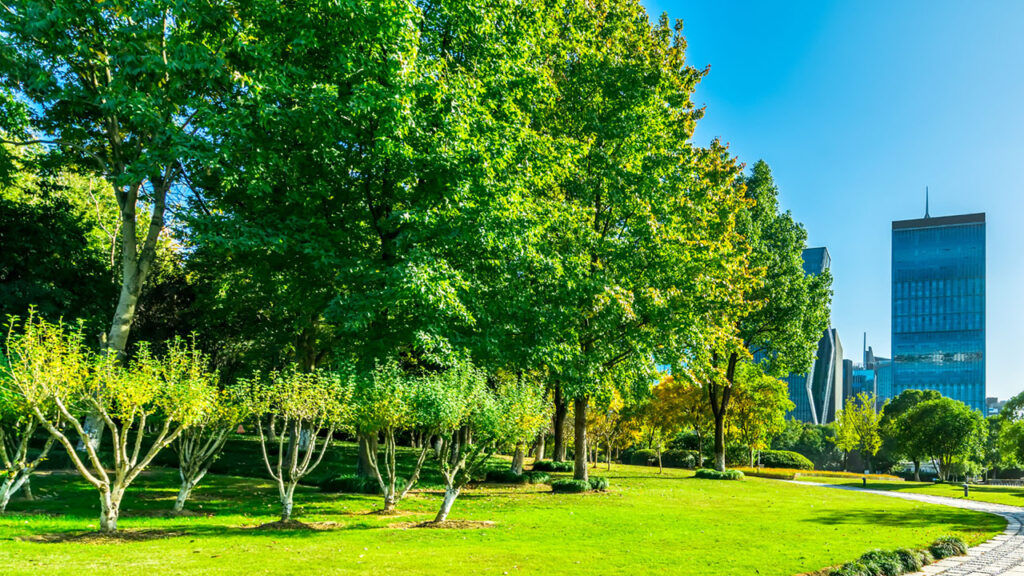 Can nature help us tackle the energy crisis?