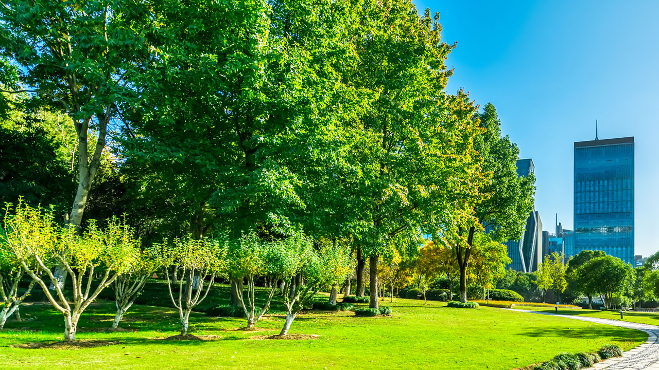 Can nature help us tackle the energy crisis?