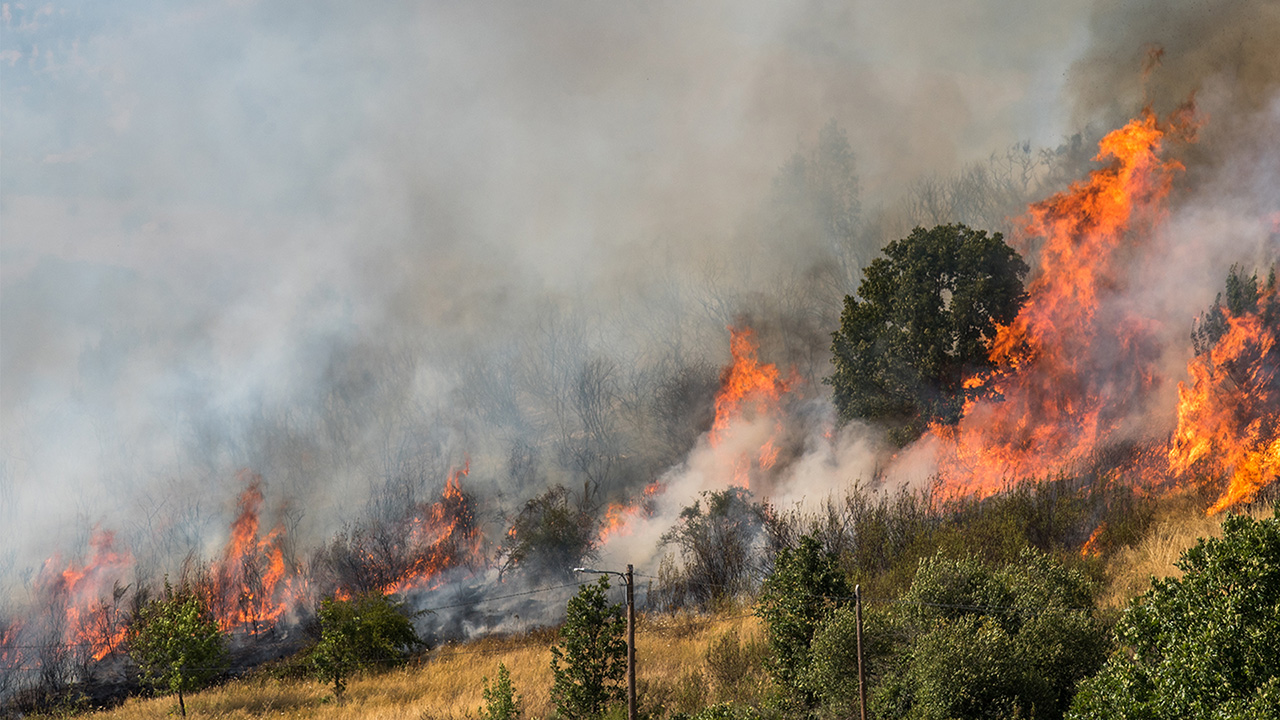 Cosa fare per evitare gli incendi boschivi?